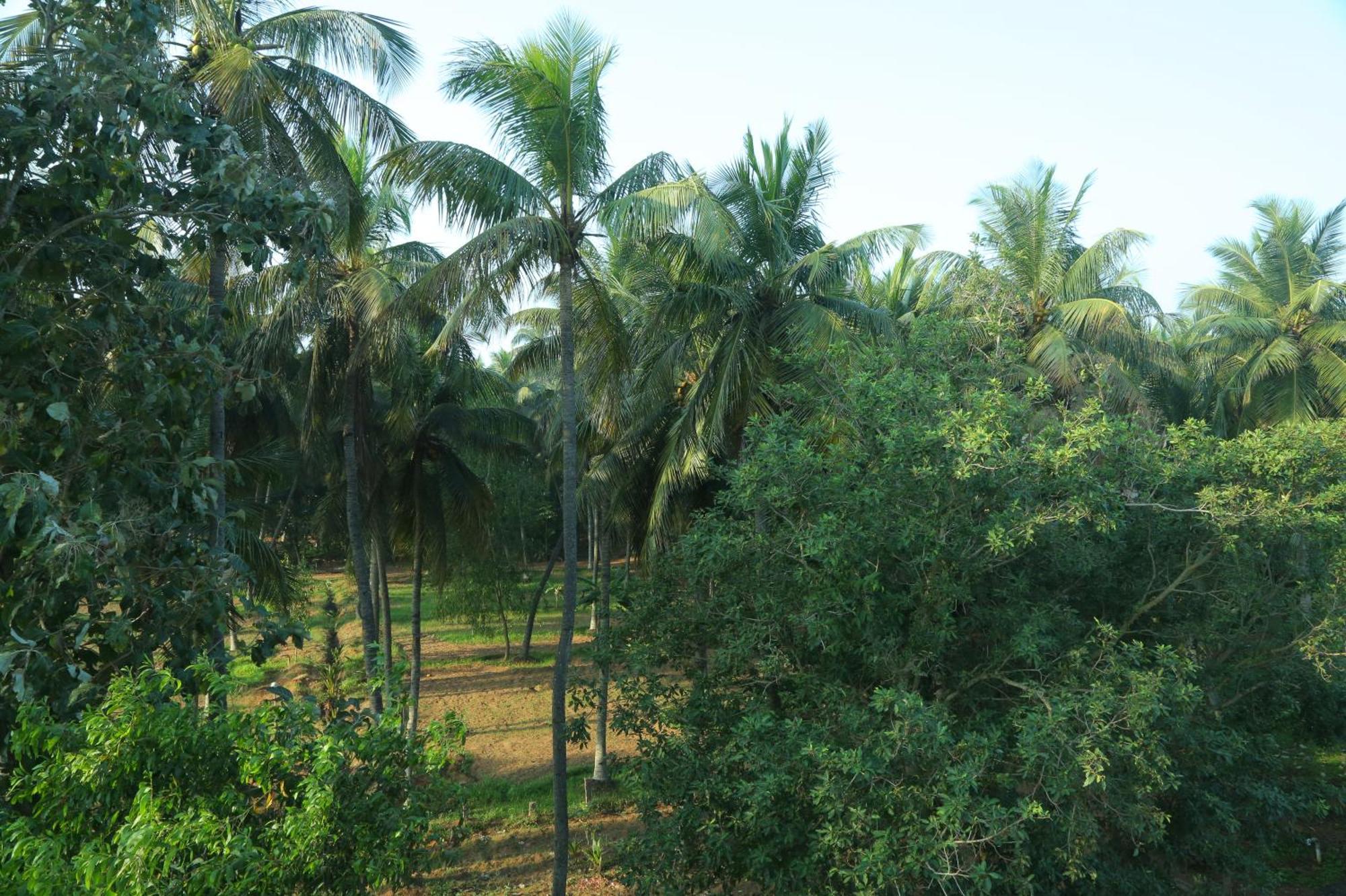 Misty Ocean - A Bergamont Group Of Hotel Kuilapalayam Eksteriør billede